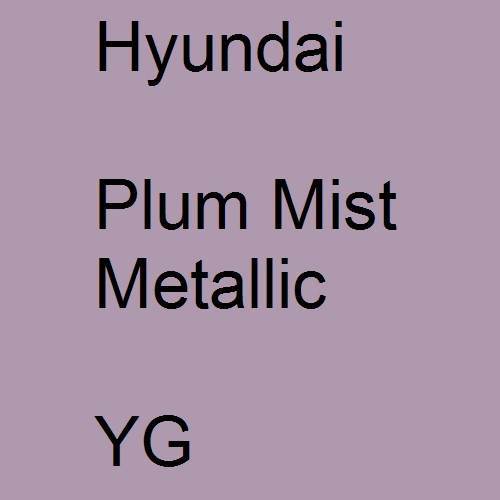 Hyundai, Plum Mist Metallic, YG.